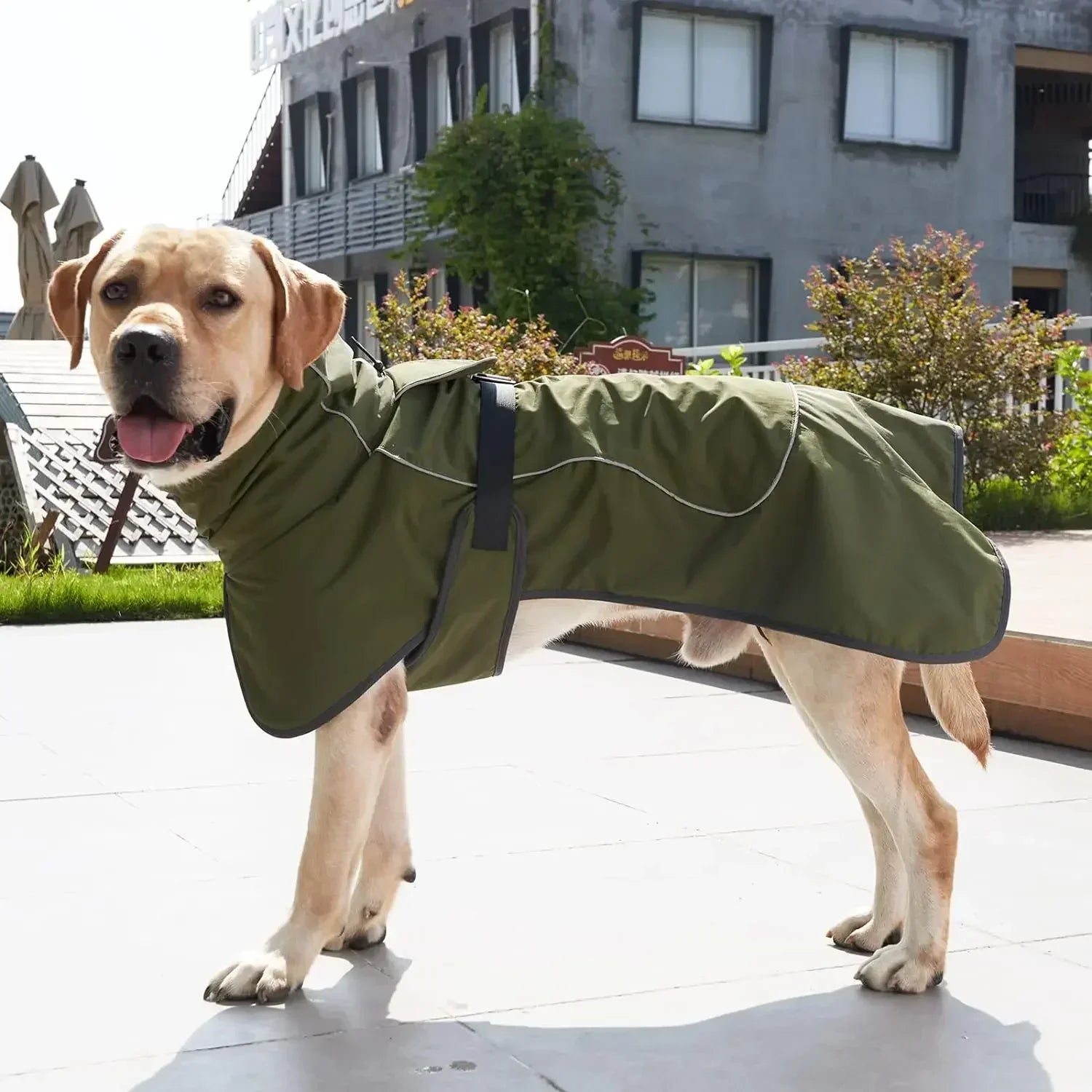 StormFit Waterproof Dog Coat with Harness Loop and Adjustable Fit