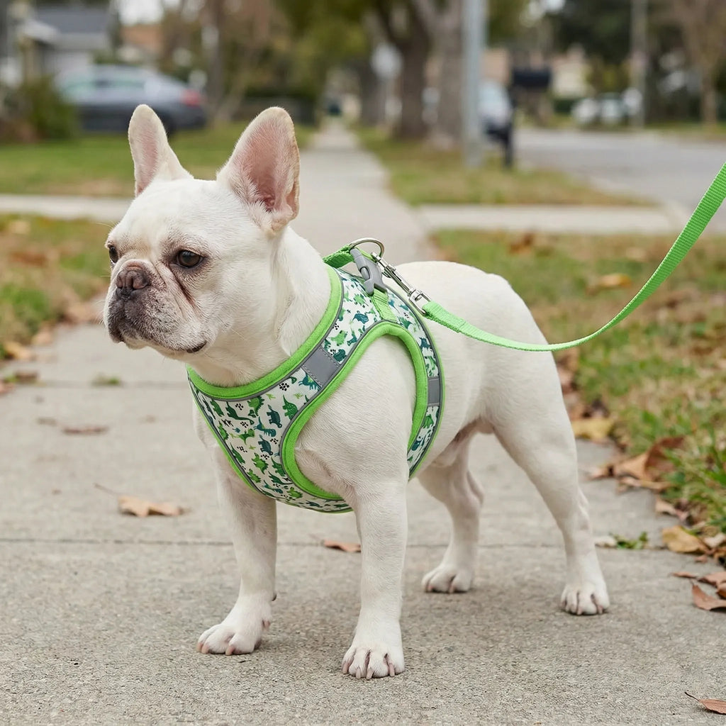 AirMesh Small Dog Harness & Lead Set with Velcro Closure