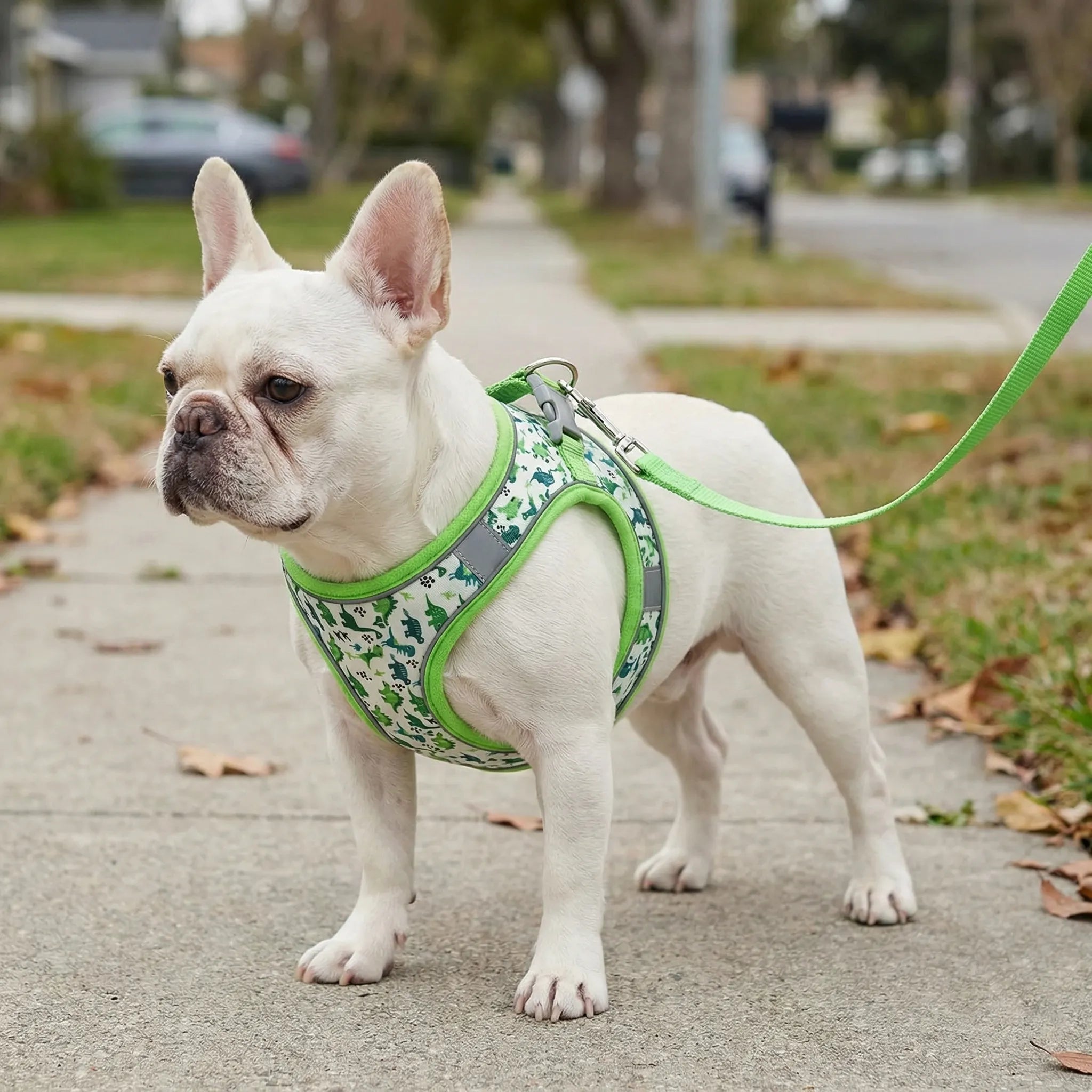 AirMesh Small Dog Harness & Lead Set with Velcro Closure