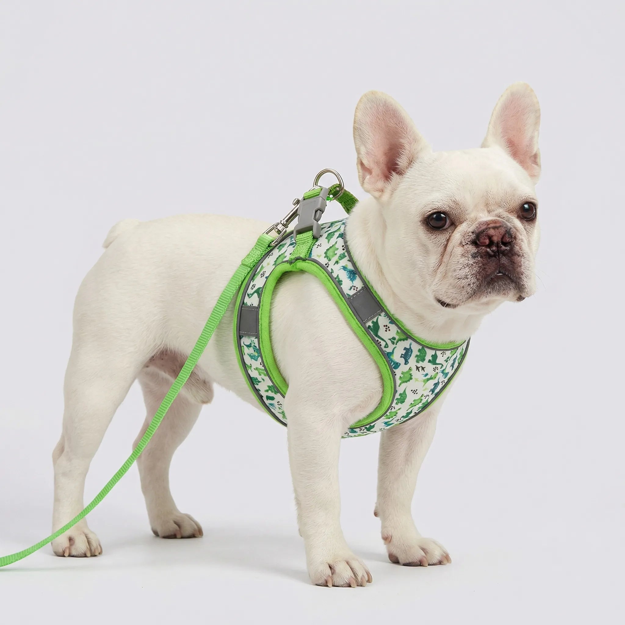 AirMesh Small Dog Harness & Lead Set with Velcro Closure