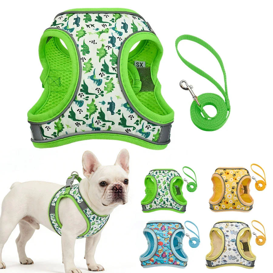 AirMesh Small Dog Harness & Lead Set with Velcro Closure