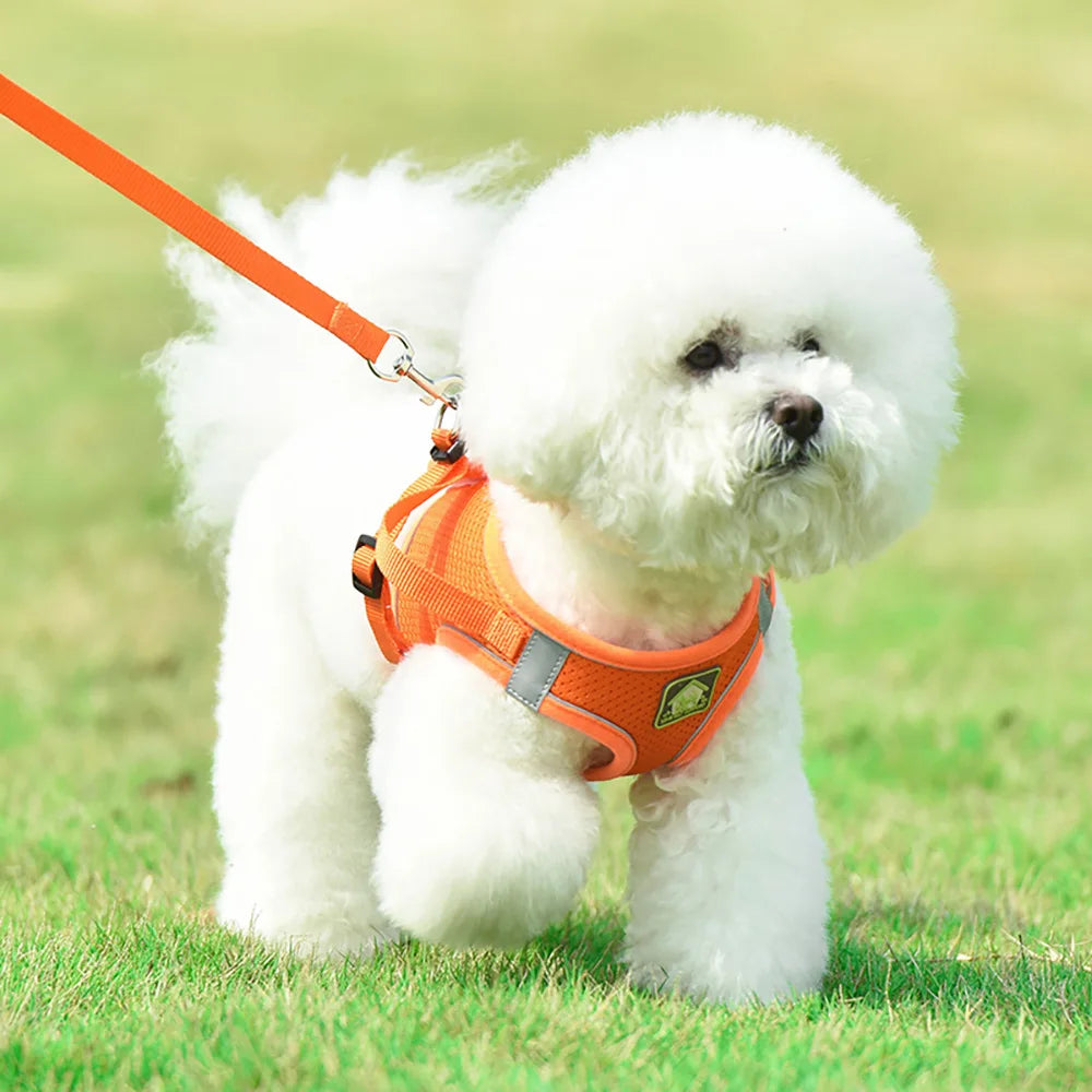 AirFlex Breathable Dog Harness Vest with Reflective Strips