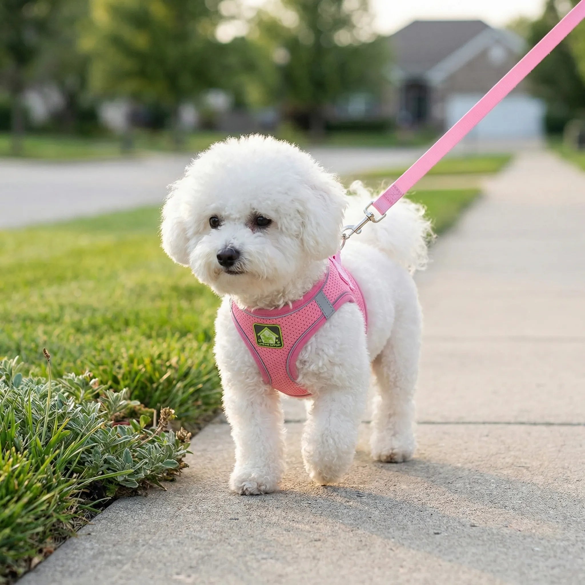 AirFlex Breathable Dog Harness Vest with Reflective Strips