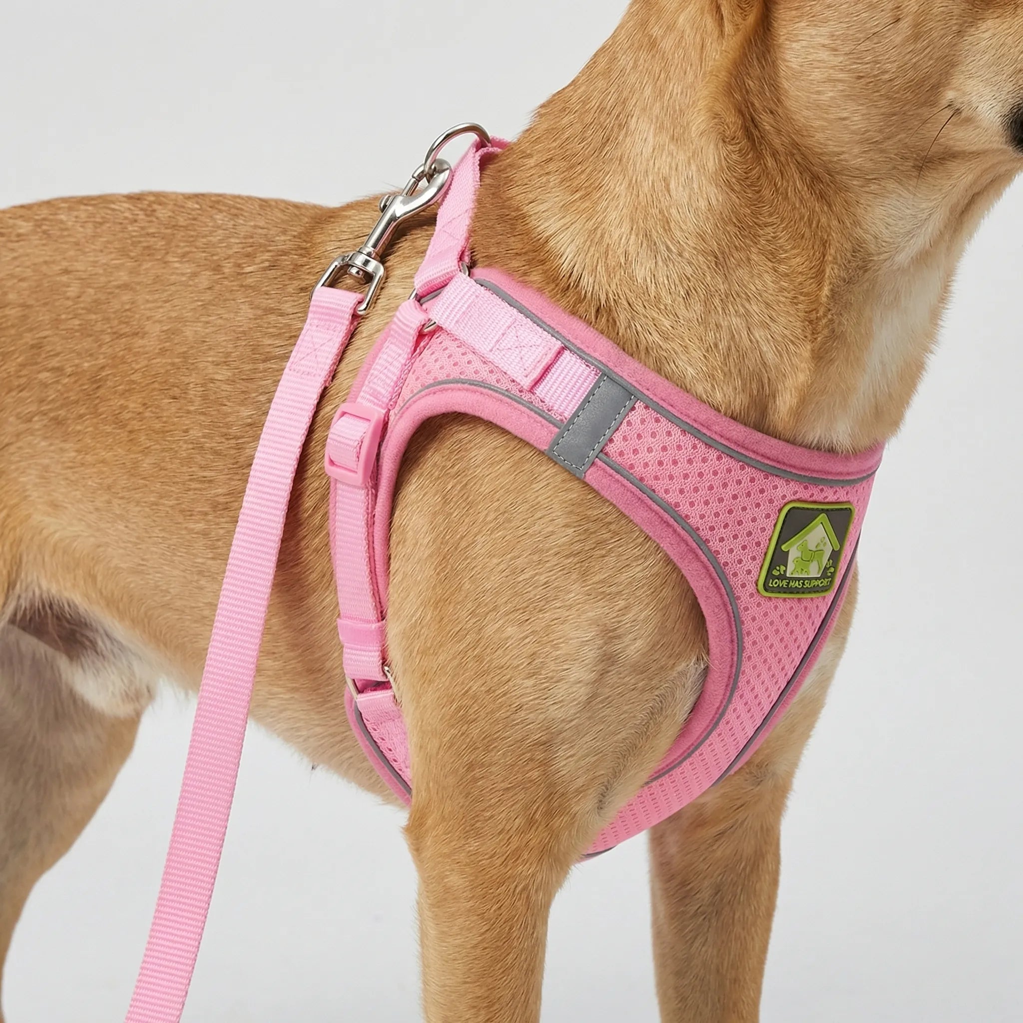 AirFlex Breathable Dog Harness Vest with Reflective Strips