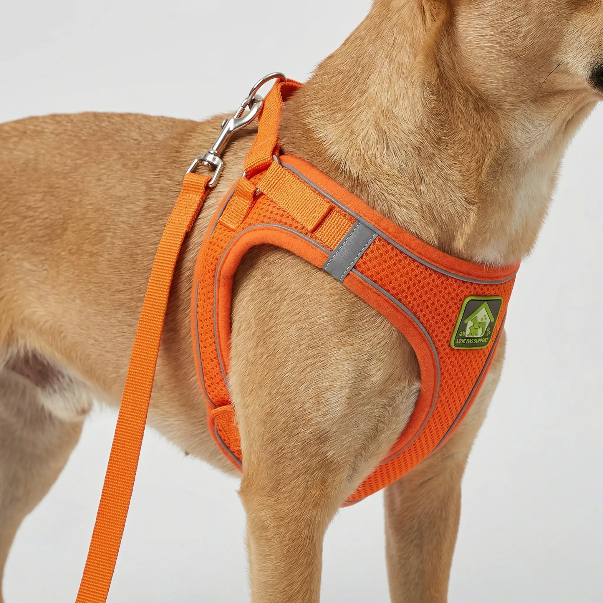 AirFlex Breathable Dog Harness Vest with Reflective Strips