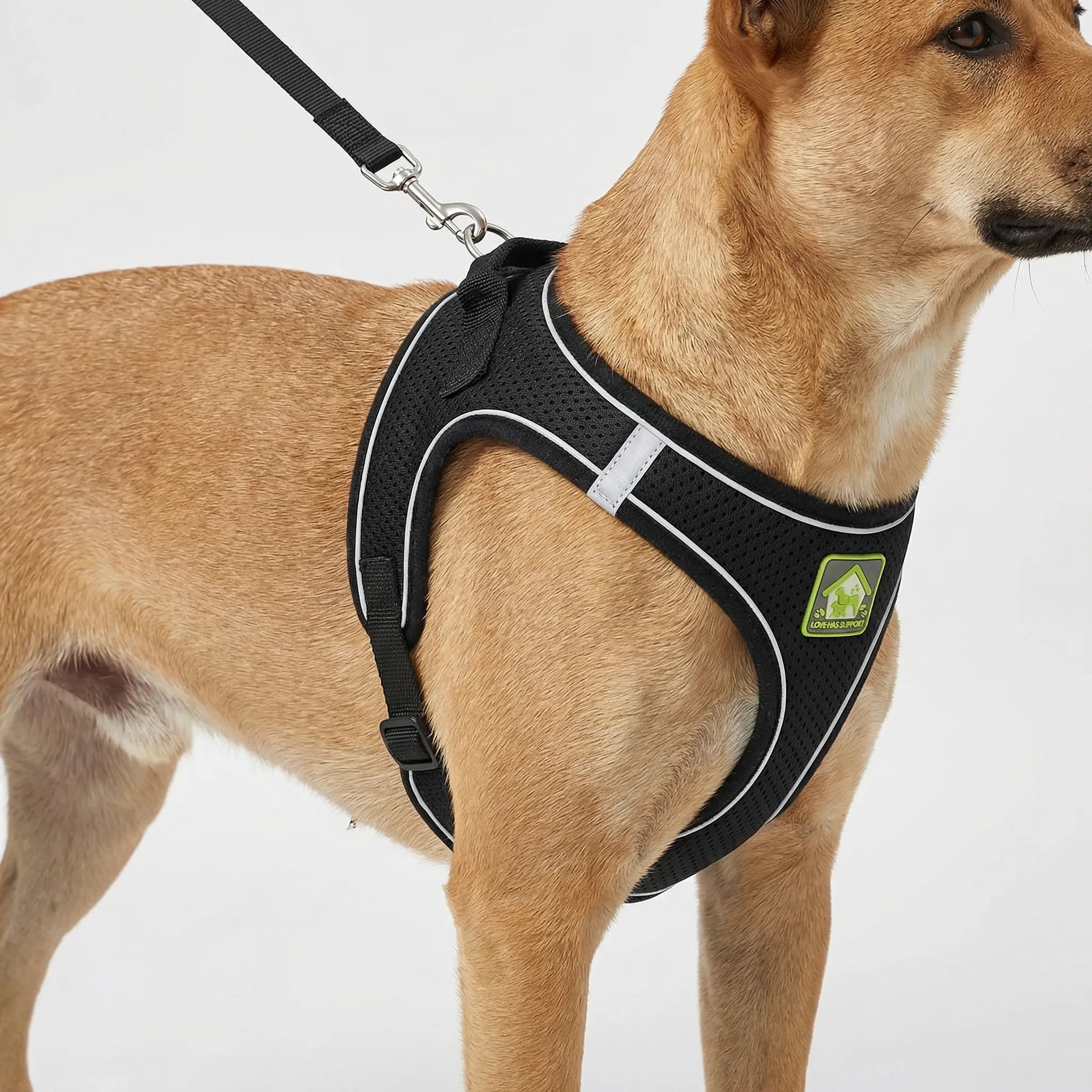 AirFlex Breathable Dog Harness Vest with Reflective Strips