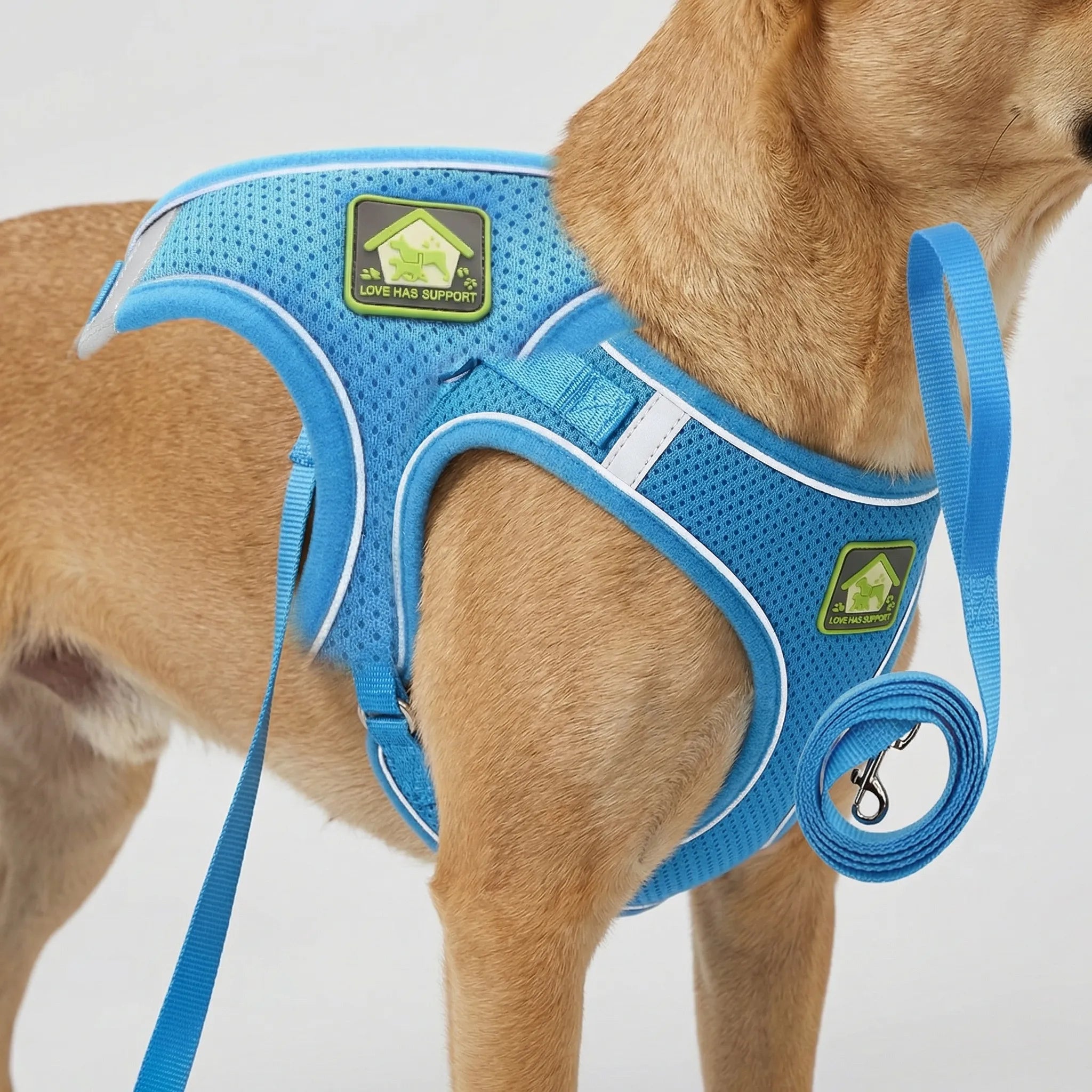 AirFlex Breathable Dog Harness Vest with Reflective Strips