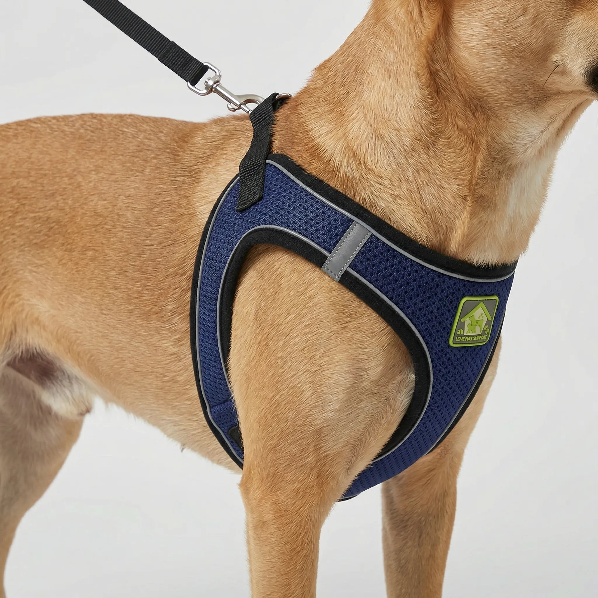 AirFlex Breathable Dog Harness Vest with Reflective Strips