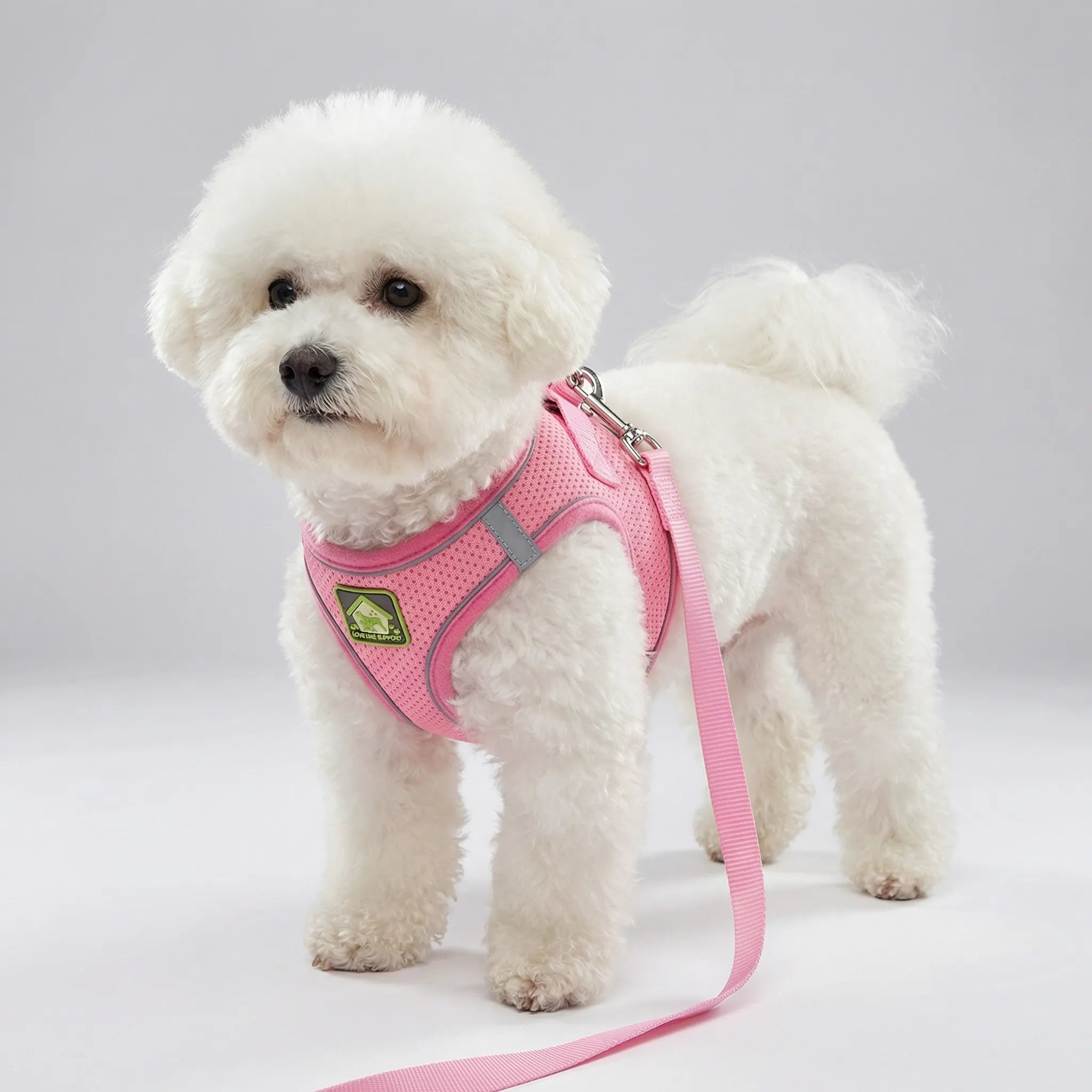 AirFlex Breathable Dog Harness Vest with Reflective Strips