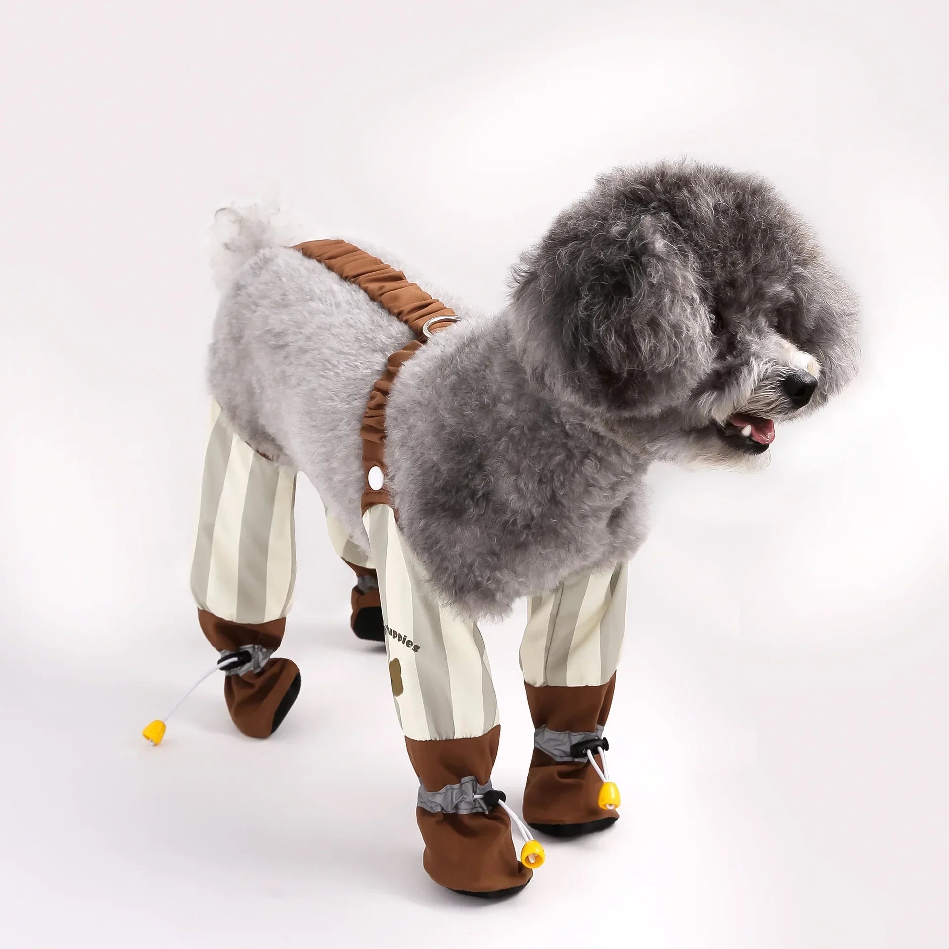 LeggyGuard Waterproof Dog Pants