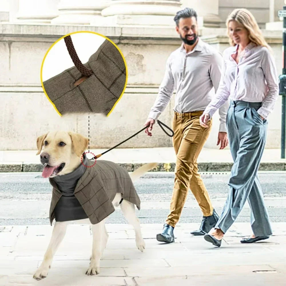 LondonLuxe Winter Dog Coat