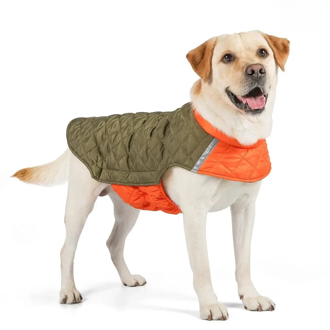 WinterSnug Waterproof Dog Jacket