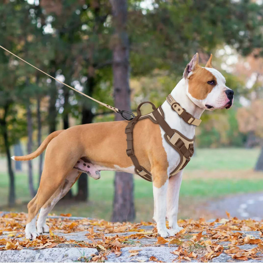 HueHarness Adjustable No-Pull Dog Harness