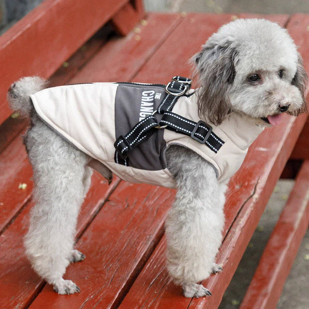 VeloVest Windproof Dog Vest Harness