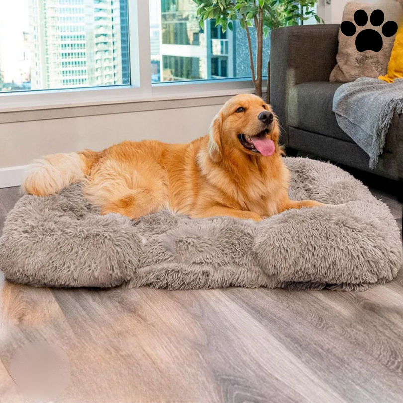 CharlieComfort Dog Bed - Memory Foam Support Pet Bed