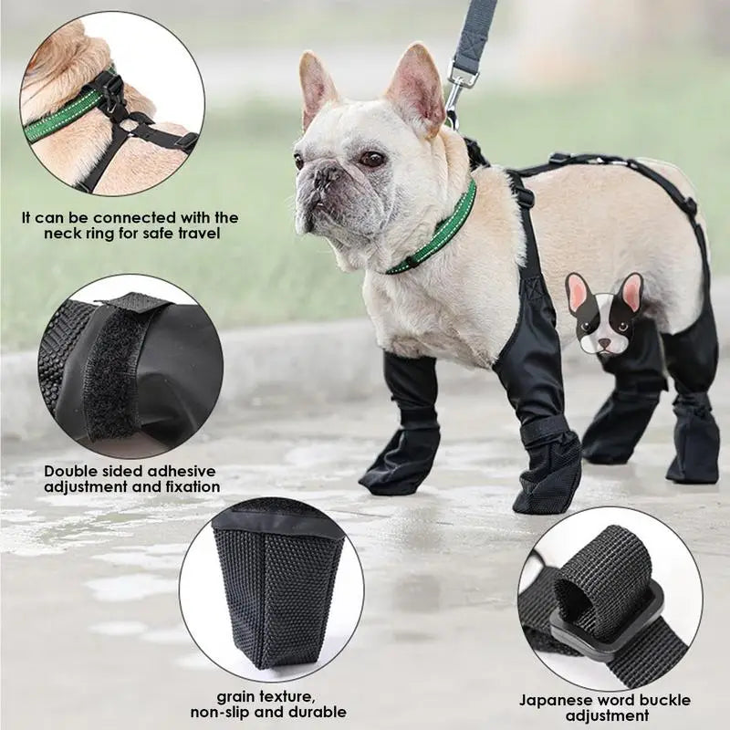 SteadyStride Anti-Slip Dog Shoes