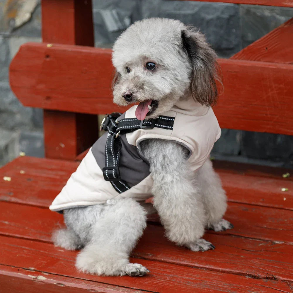 VeloVest Windproof Dog Vest Harness