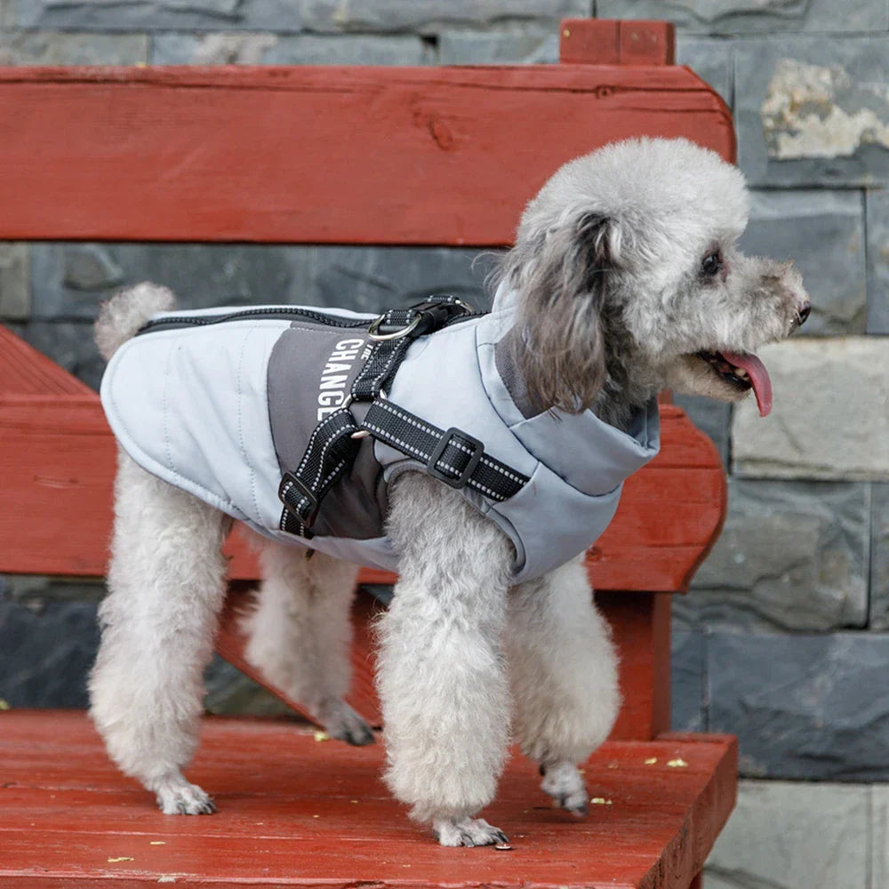 VeloVest Windproof Dog Vest Harness