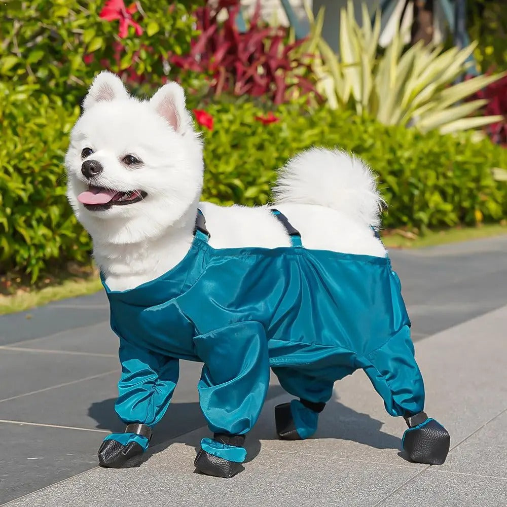 StrideStay Waterproof Dog Pants with Integrated Shoes