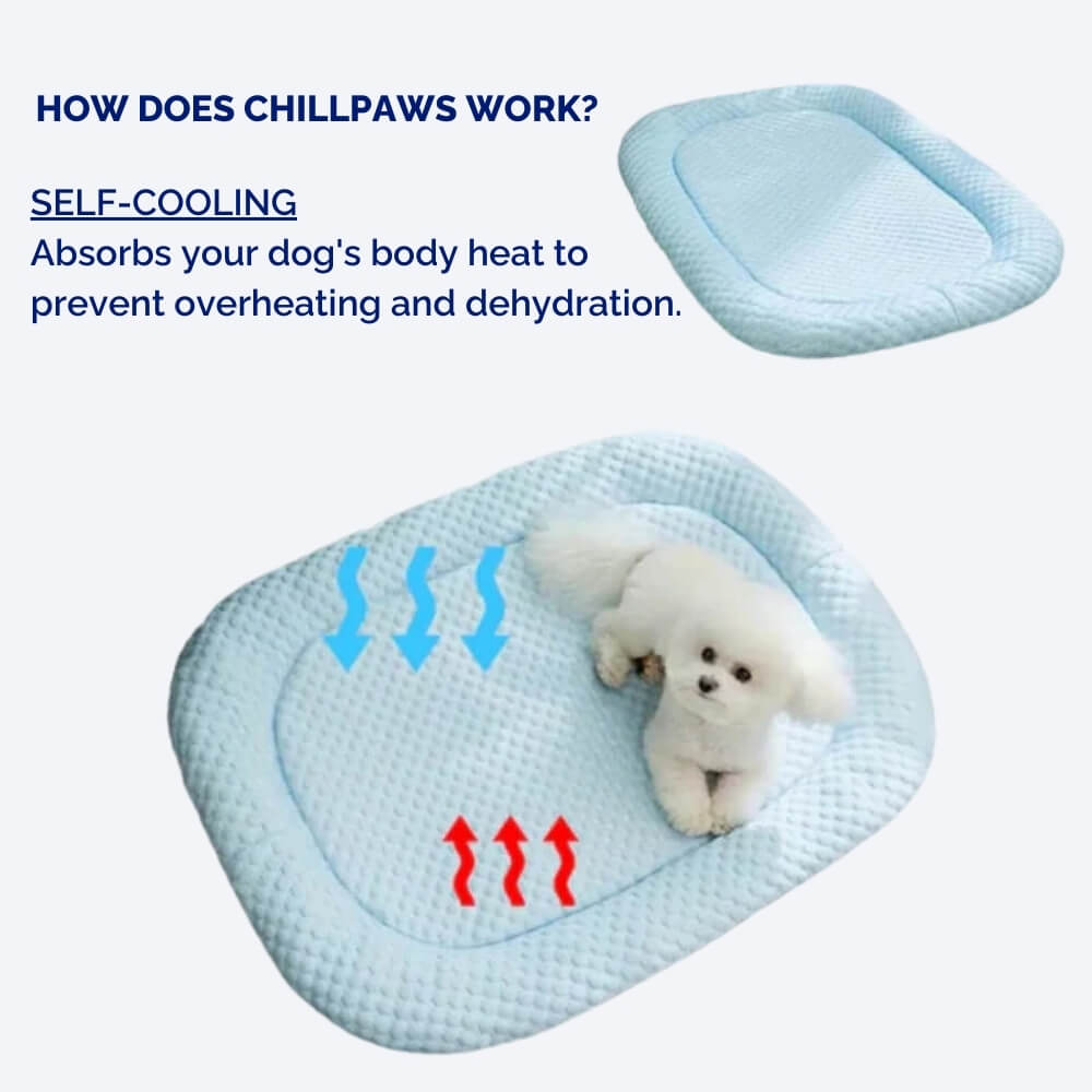 ArcticNest Cooling Dog Bed - Breathable Summer Pet Mattress