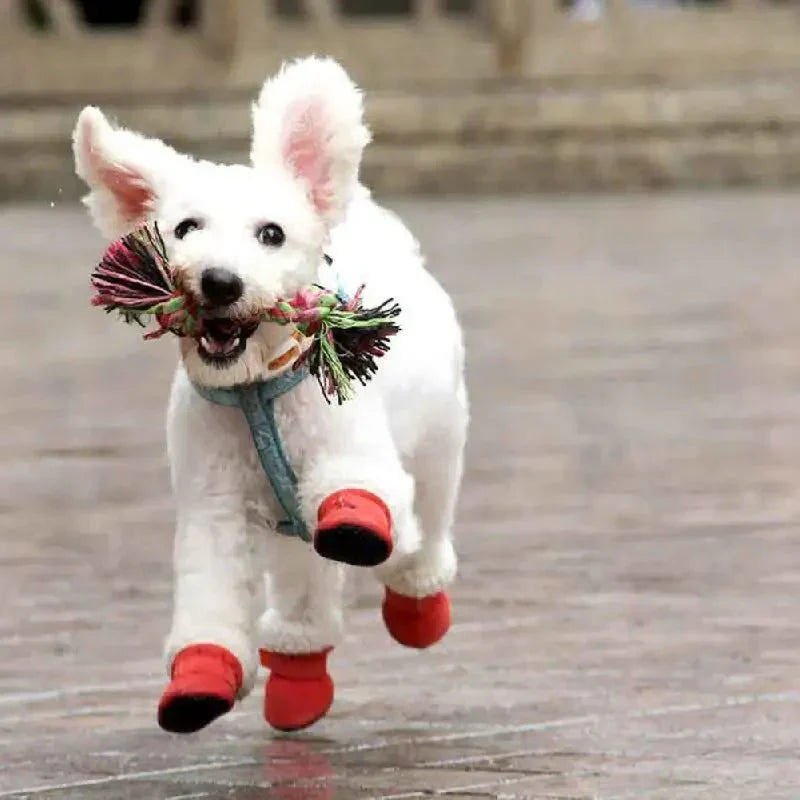 FrostTrail Dog Winter Boots - Waterproof Non-Slip Paw Shoes
