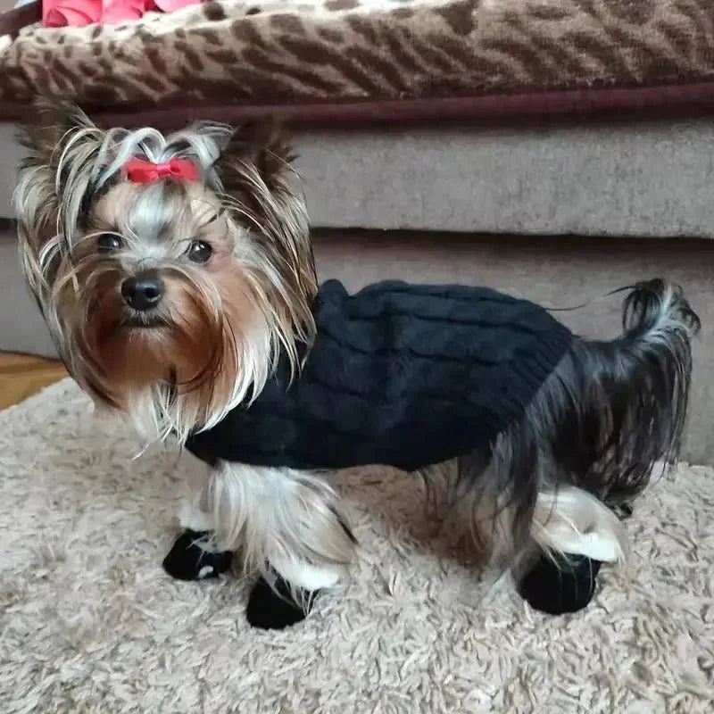 FrostTrail Dog Winter Boots - Waterproof Non-Slip Paw Shoes