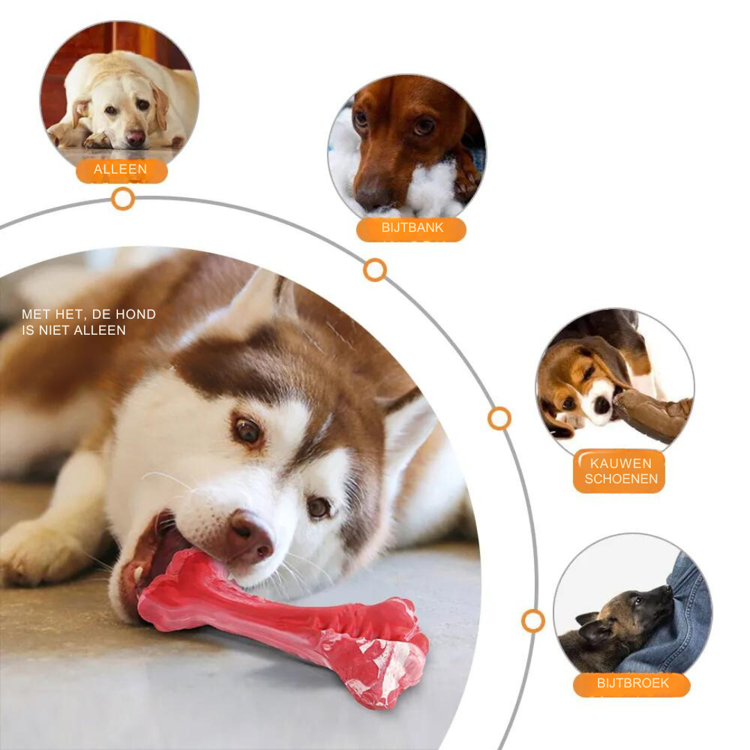 ChewBite Dental Toy - Interactive Squeaky Dog Chew Toy