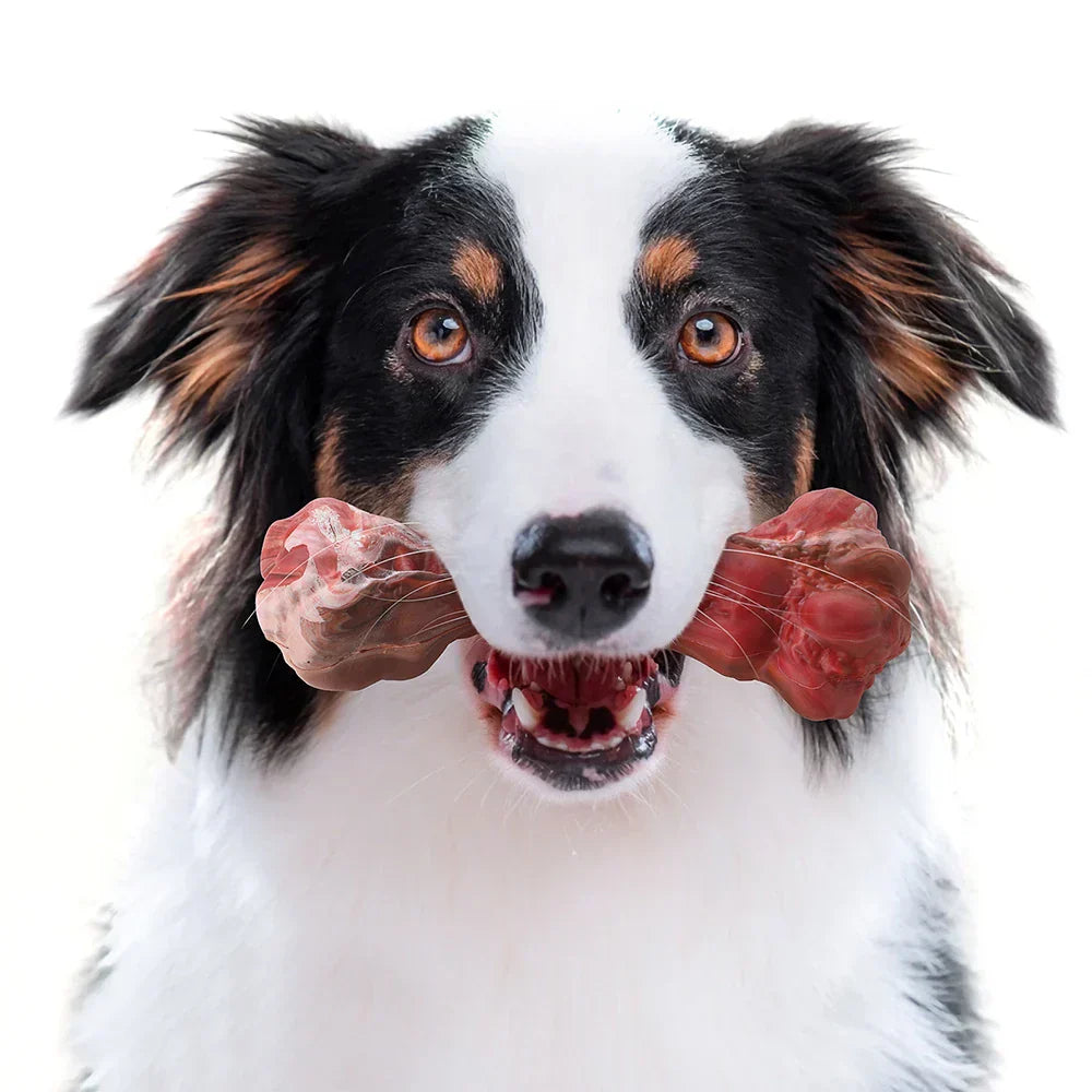 ChewBite Dental Toy - Interactive Squeaky Dog Chew Toy
