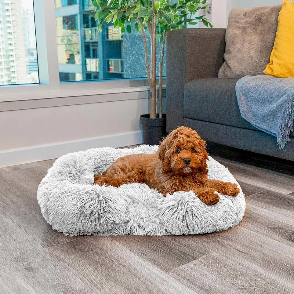 CharlieComfort Dog Bed - Memory Foam Support Pet Bed