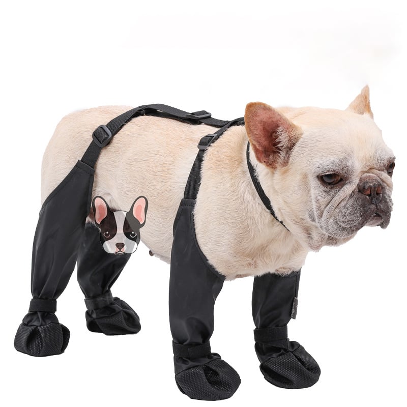 TerraGrip Dog Boots - Weatherproof Paw Protection Shoes