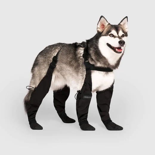 TerraGrip Dog Boots - Weatherproof Paw Protection Shoes