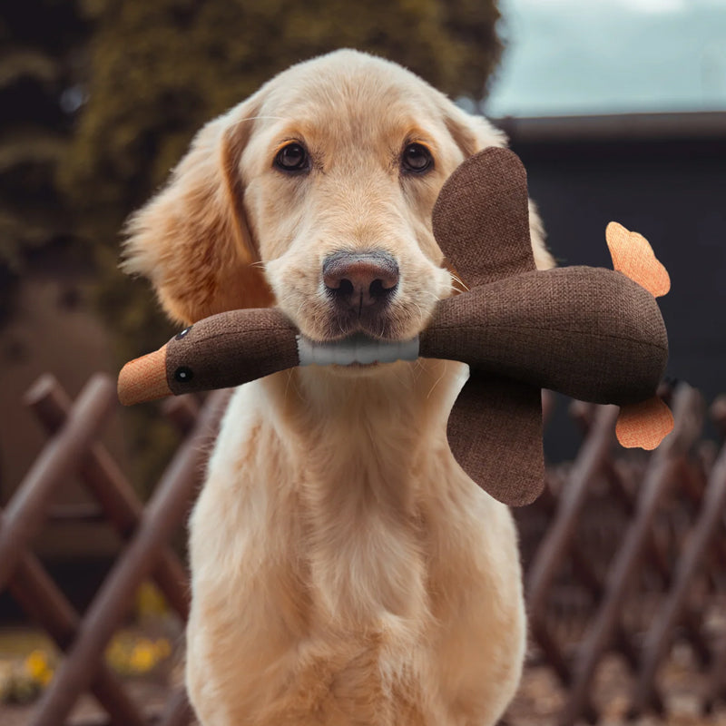 MegaChew Goose Toy - Durable Interactive Dog Chew Toy