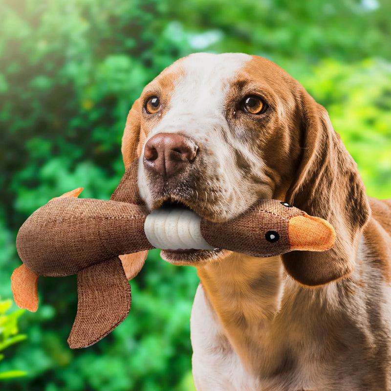 MegaChew Goose Toy - Durable Interactive Dog Chew Toy