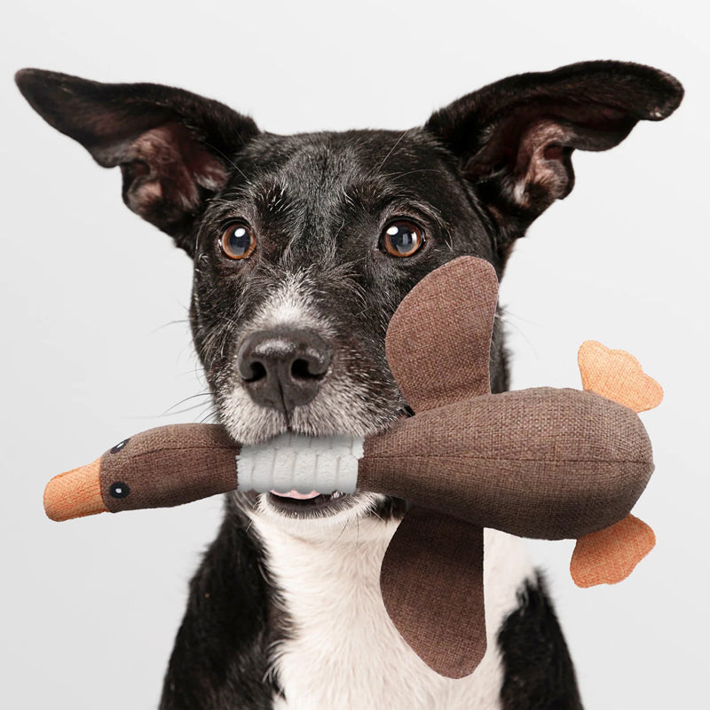 MegaChew Goose Toy - Durable Interactive Dog Chew Toy