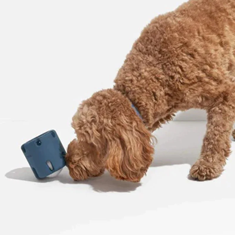 ActivePaw Bounce Toy - Interactive Dog Toy for Dental Care