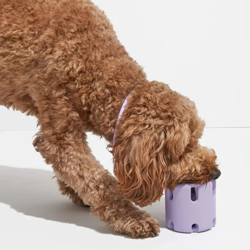 ActivePaw Bounce Toy - Interactive Dog Toy for Dental Care