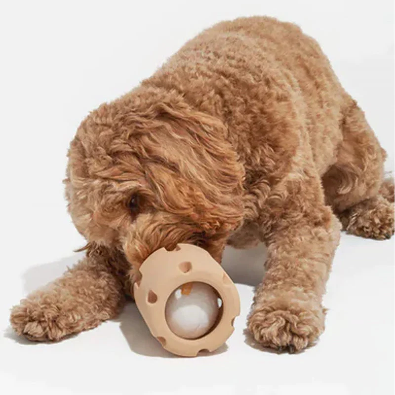 ActivePaw Bounce Toy - Interactive Dog Toy for Dental Care