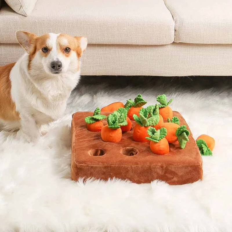 SniffHarvest Dog Puzzle Toy
