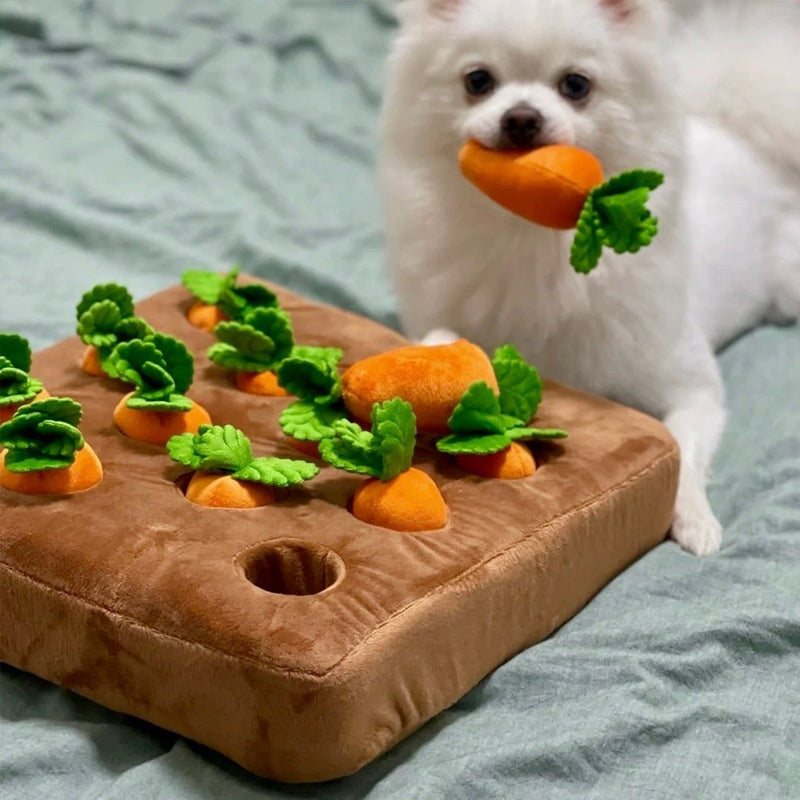 SniffHarvest Dog Puzzle Toy