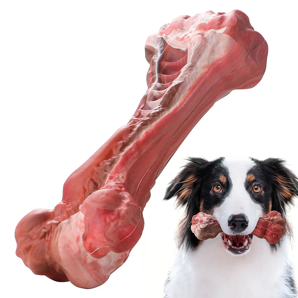 ChewBite Dental Toy - Interactive Squeaky Dog Chew Toy