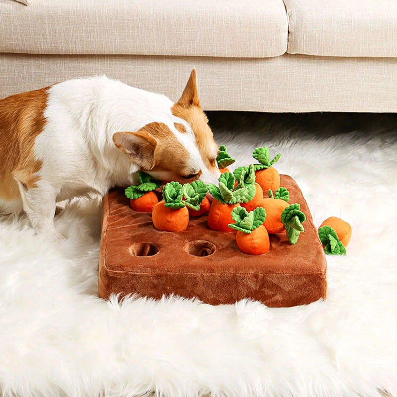 SniffHarvest Dog Puzzle Toy