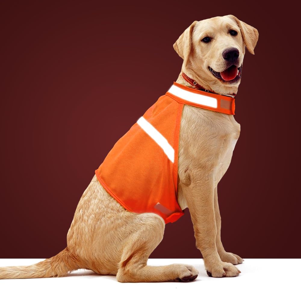 NightGuard Reflective Dog Vest - Adjustable High Visibility Jacket