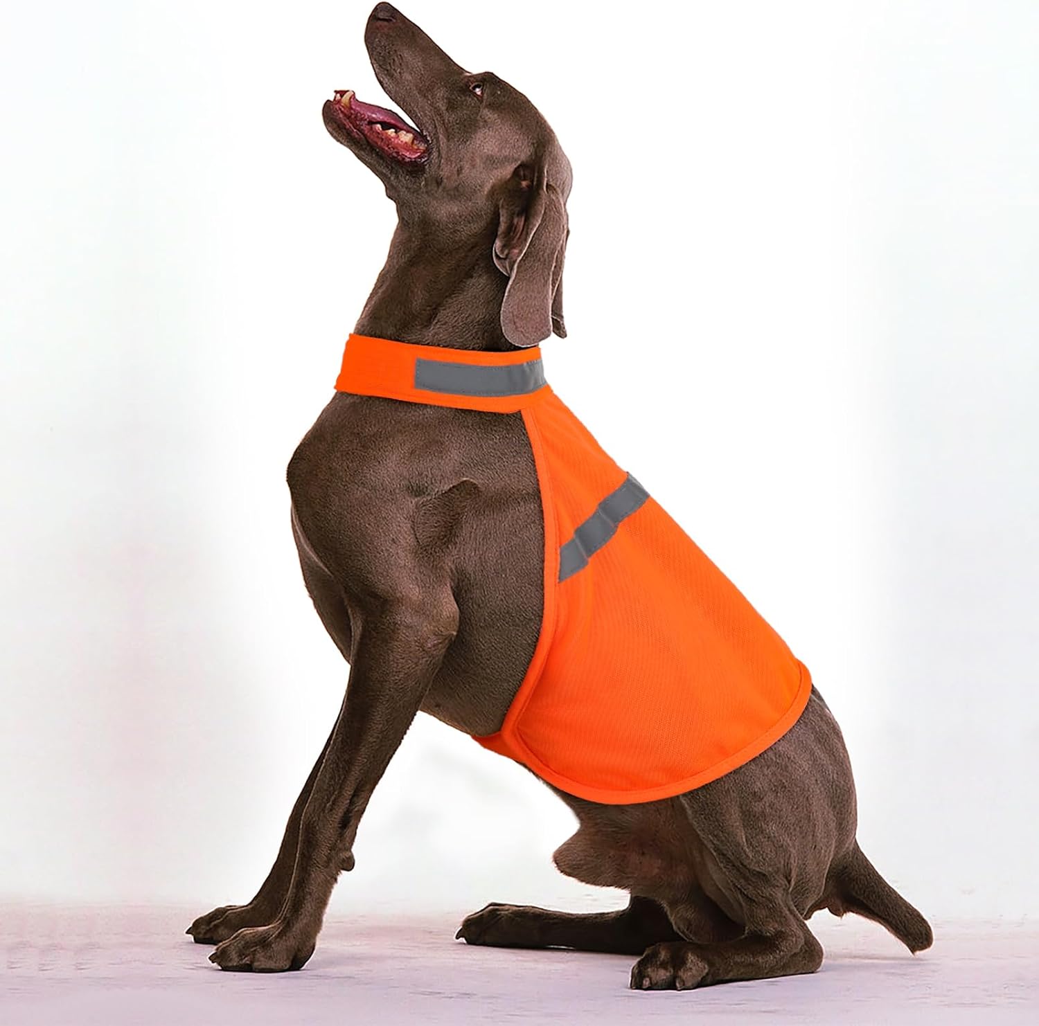 NightGuard Reflective Dog Vest - Adjustable High Visibility Jacket