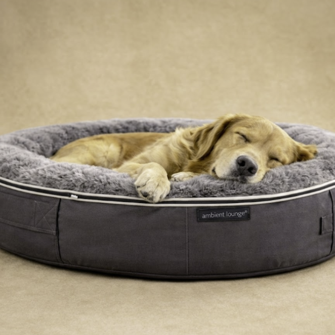 ComfortNest Plush Dog Bed with Raised Edge