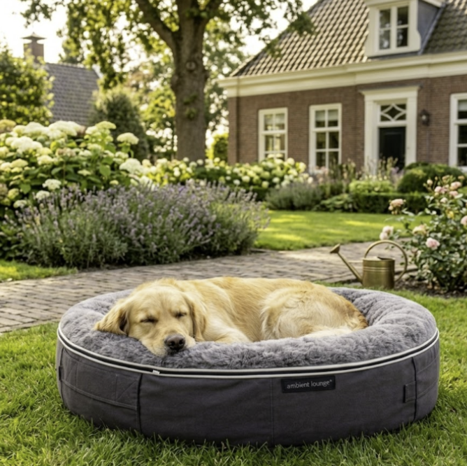 ComfortNest Plush Dog Bed with Raised Edge