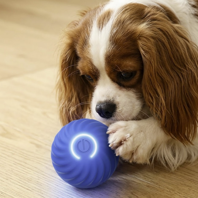 ActiveBounce Interactive Dog Ball Toy USB Rechargeable