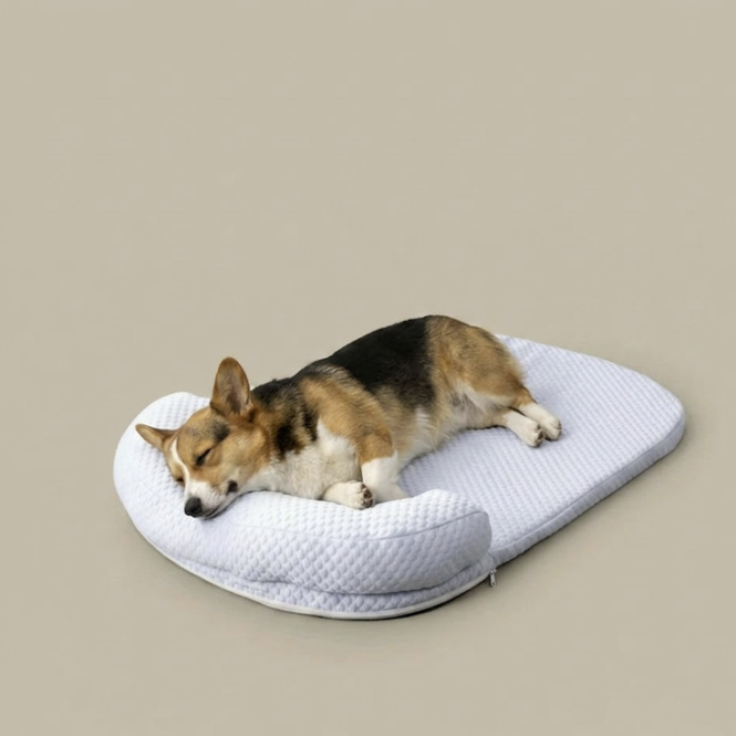 CoolPaw Washable Dog Cooling Mat