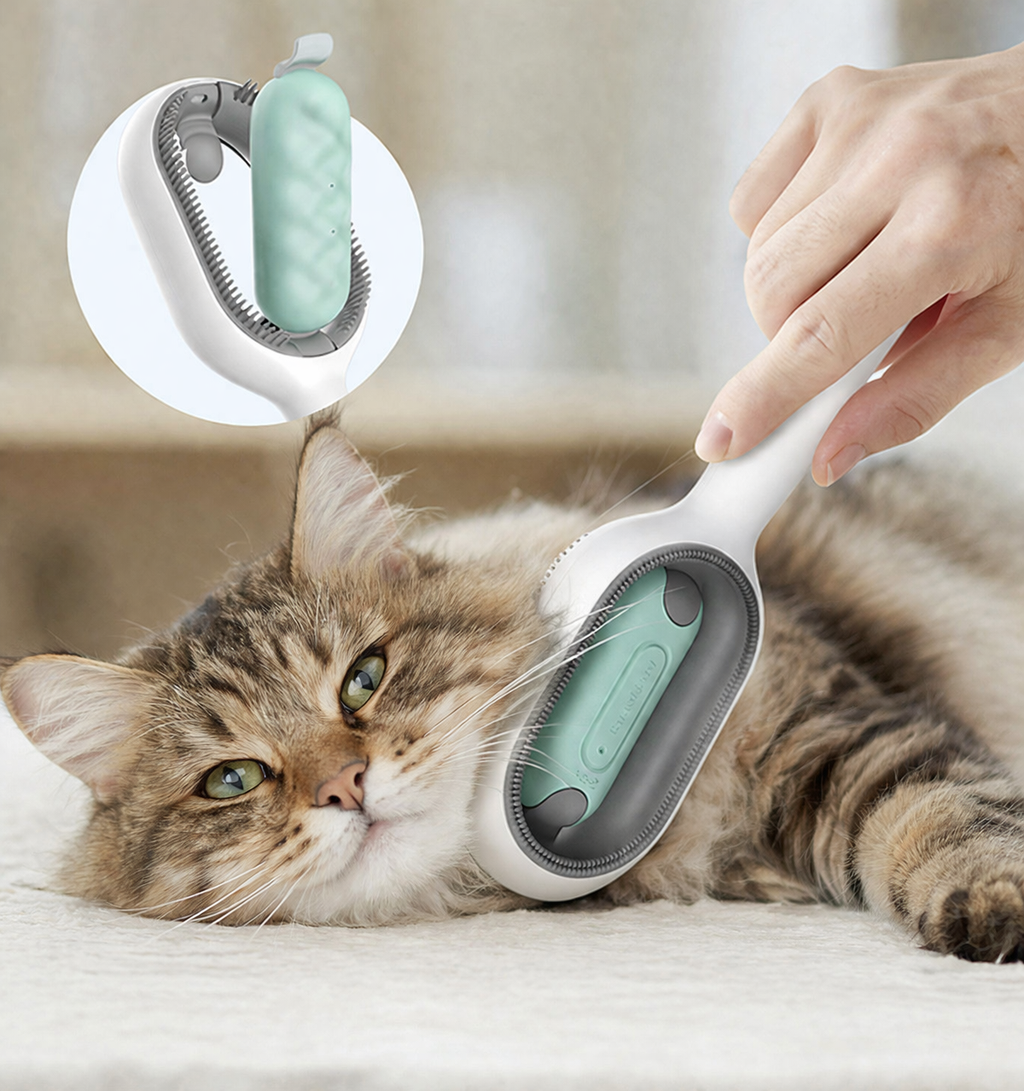 Reusable Pet Hair Sticky Brush