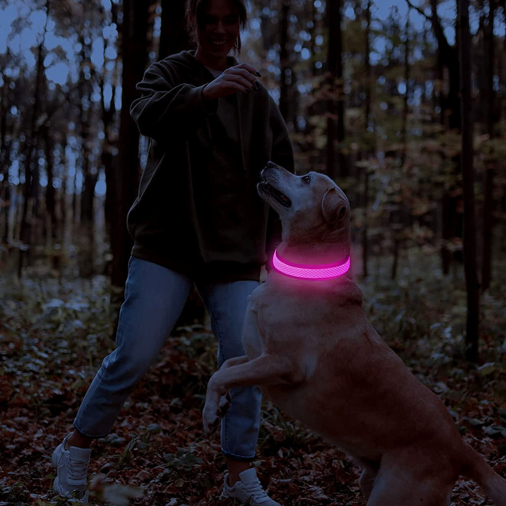 GlowSafe LED Dog Collar USB Rechargeable High Visibility