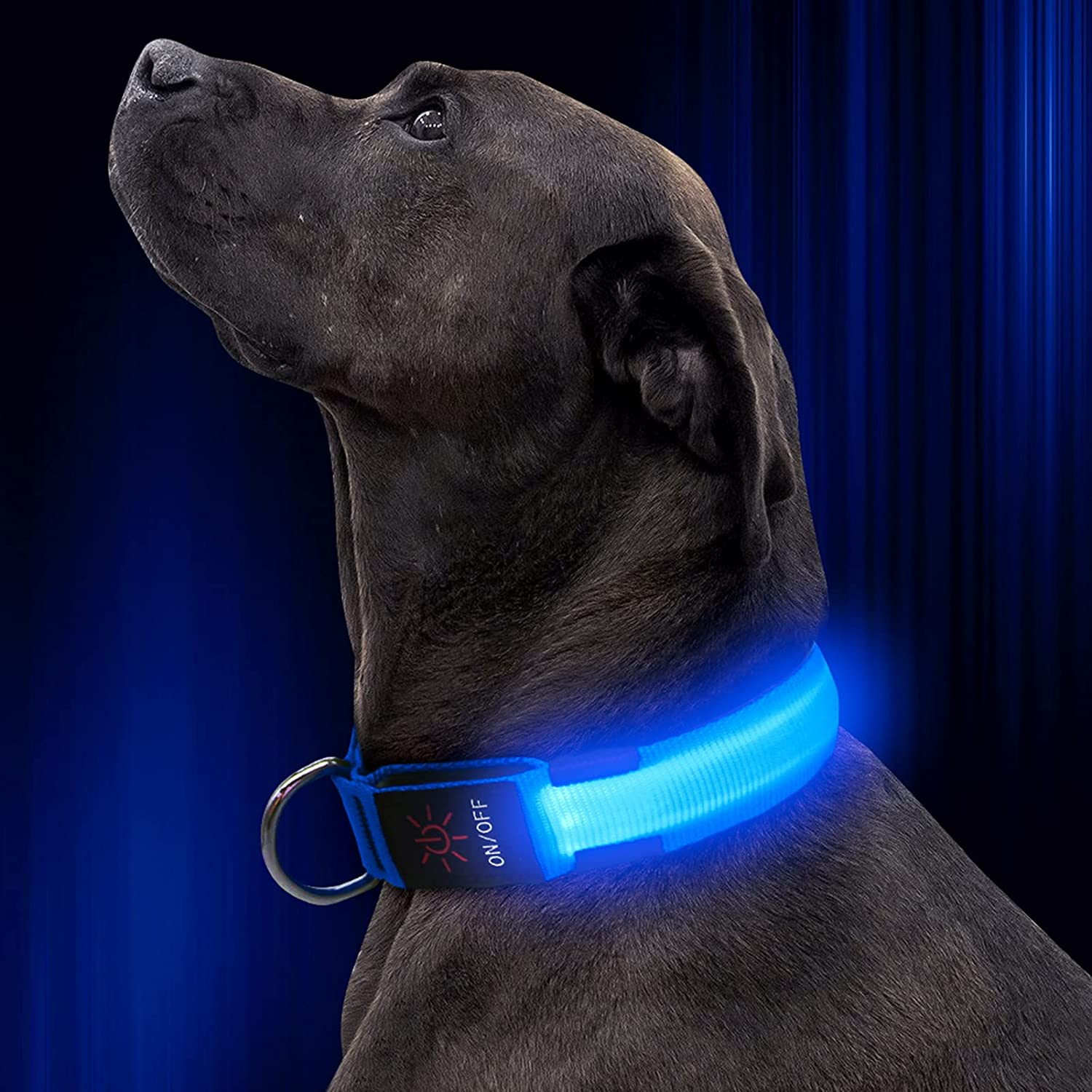GlowSafe LED Dog Collar USB Rechargeable High Visibility
